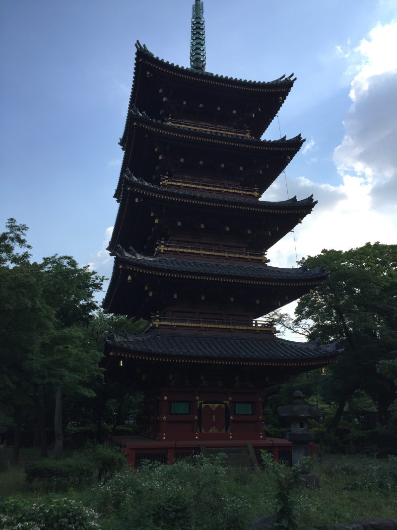 Five-story pagoda tower among trees