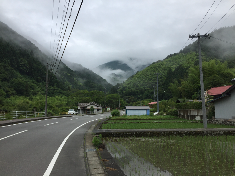 Mountain road with rice paddies and low clouds