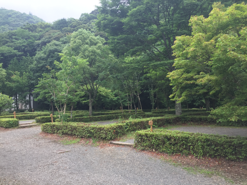 Campground with hedge-separated sites and trees