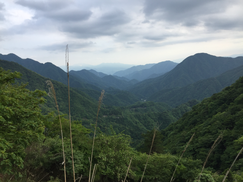 Misty mountain valley panorama
