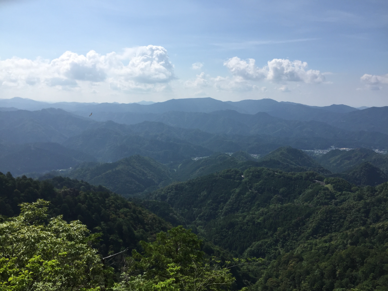 Panoramic view of green forested mountains