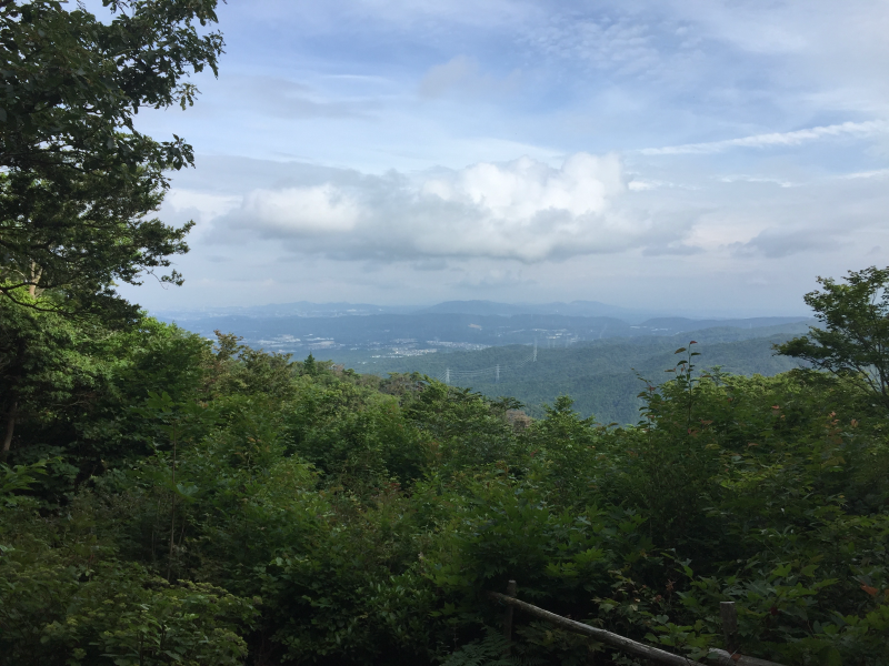 View from a forested ridge over green hills toward a distant valley under a blue sky with broken clouds