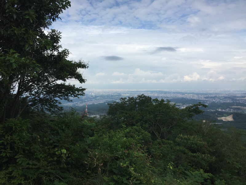 View from ridge over forested valley toward distant city