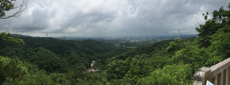 Panoramic view from observation deck over green hills and distant city