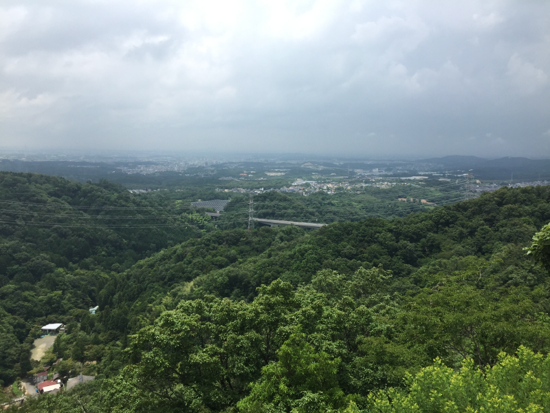 Forested valley with town visible in distance under overcast sky