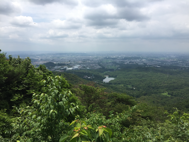 View towards Nagoya city with lake