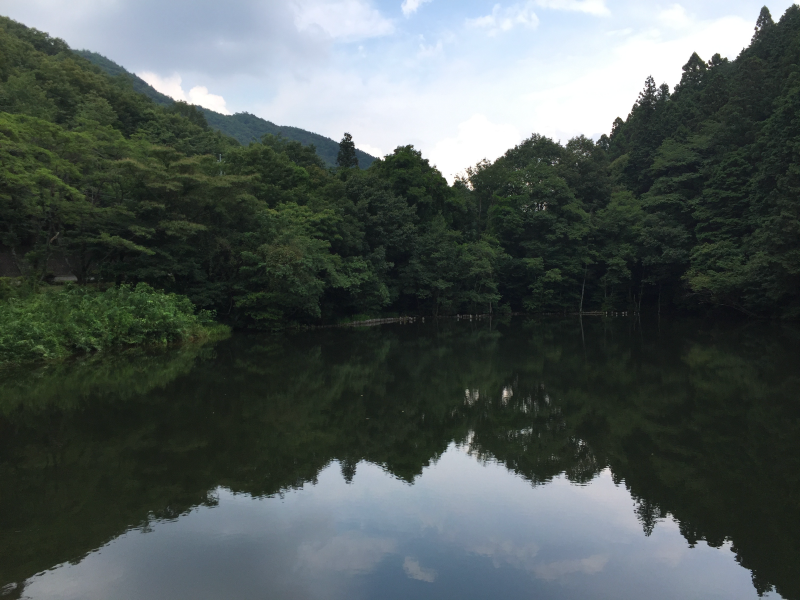 Still mountain pond reflecting dense forest and hillside