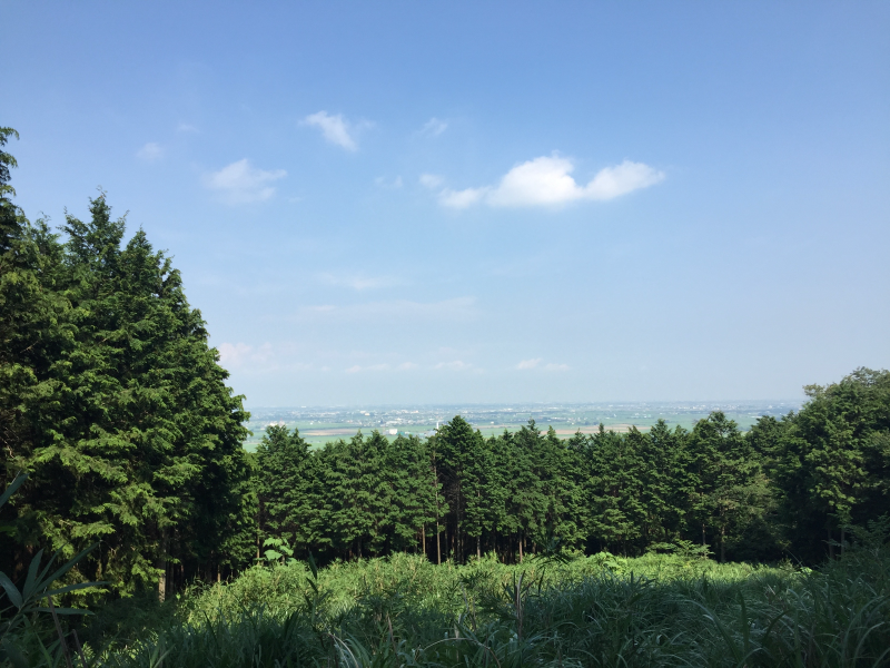 Cedars and tall grass framing a hazy view of the Nobi plain under a near-cloudless blue sky