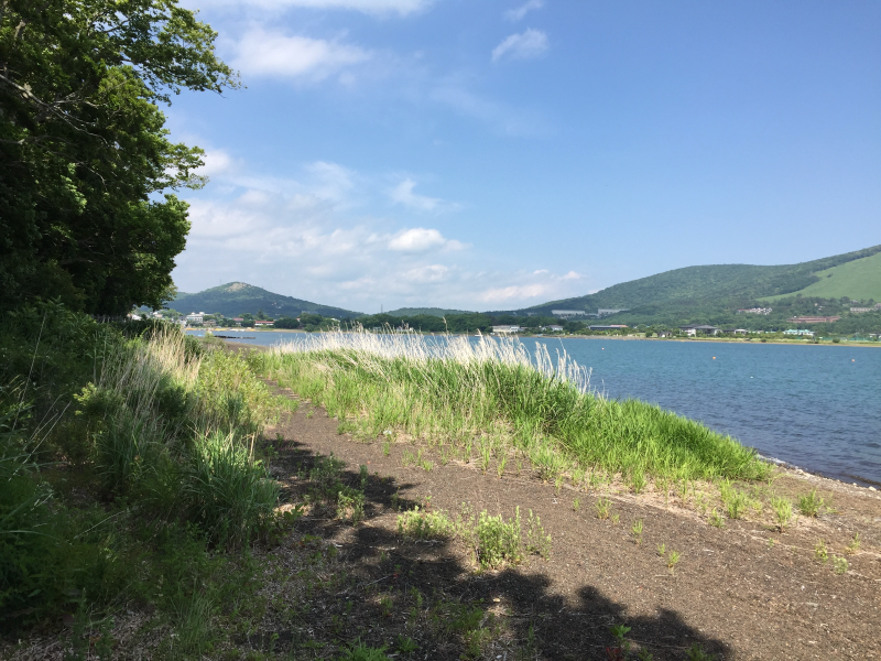 Grassy lakeshore with reeds and hills