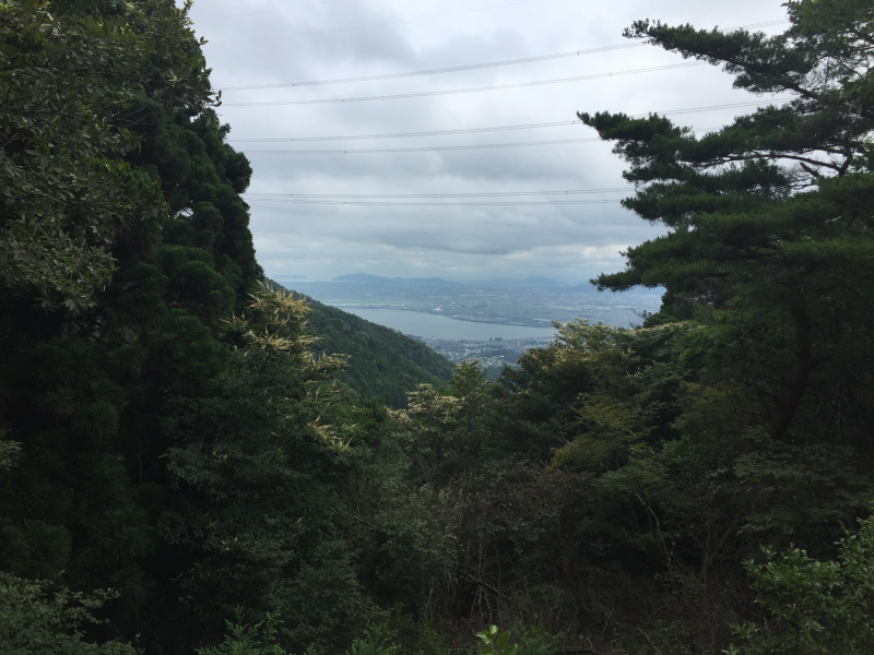View of Lake Biwa and Otsu city through pine trees from mountain trail