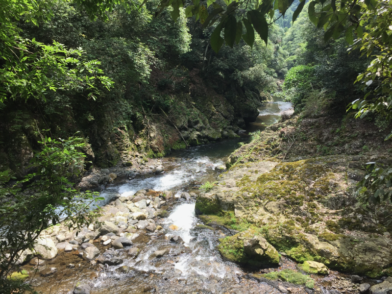 Stream flowing through rocky gorge