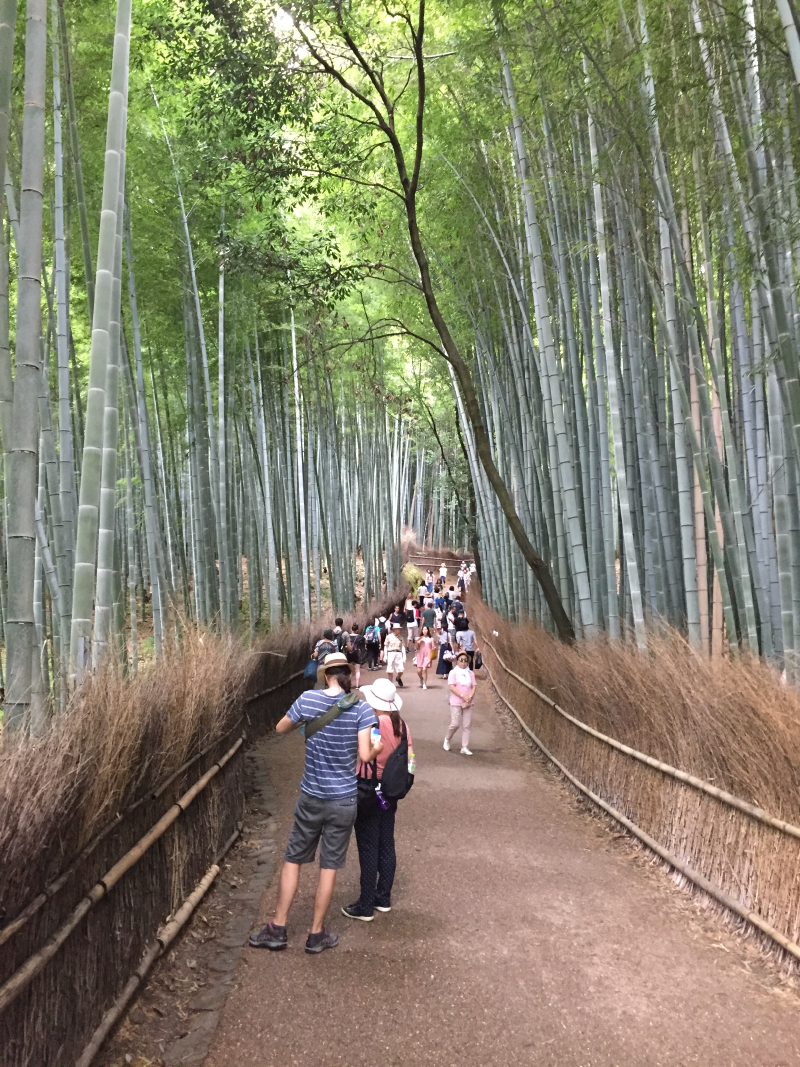 Crowd of tourists filling the same bamboo path, a couple pausing in the foreground