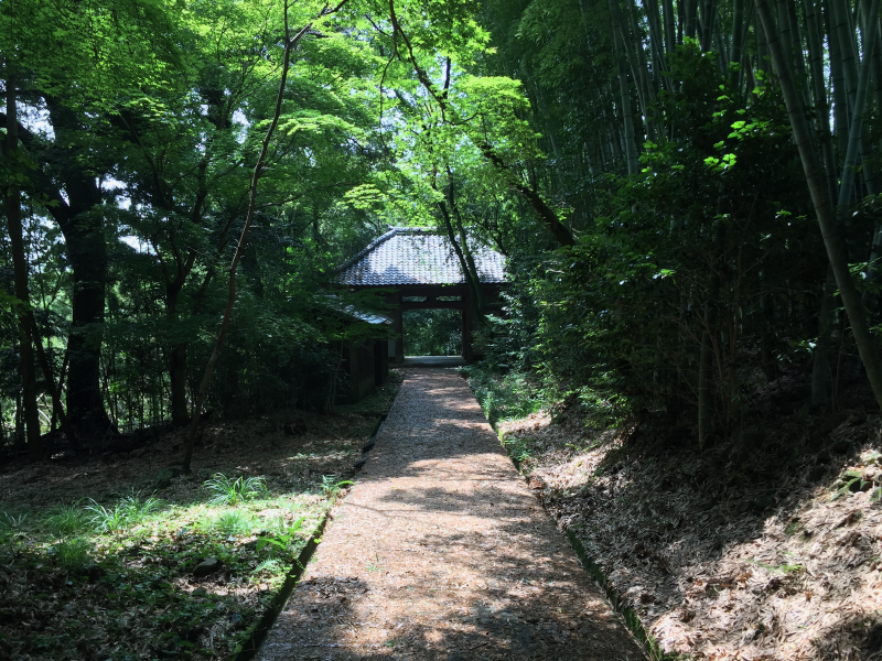 Forest path leading to temple gate