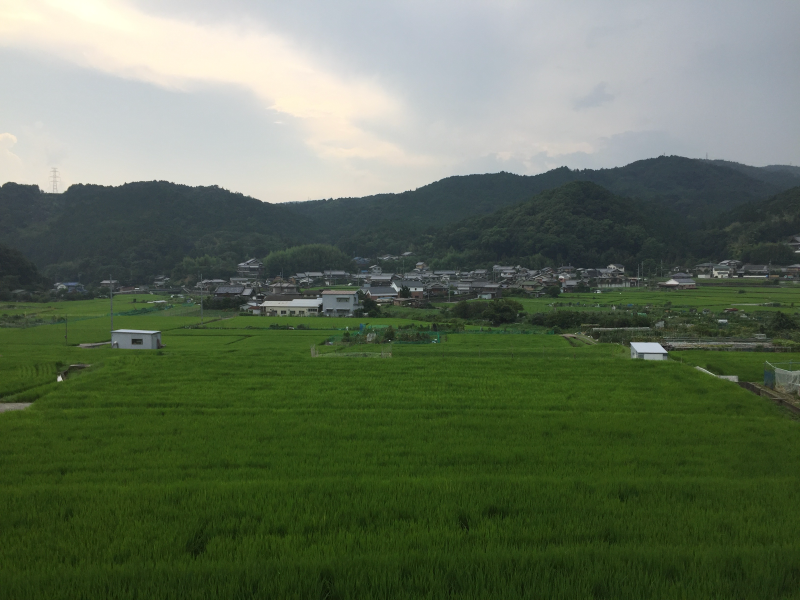 Rice paddies with village and mountains
