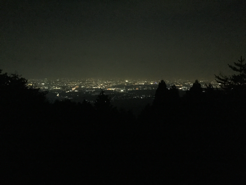 Night view of Osaka city lights spread across the plain, seen from Ryuo-san through dark tree silhouettes