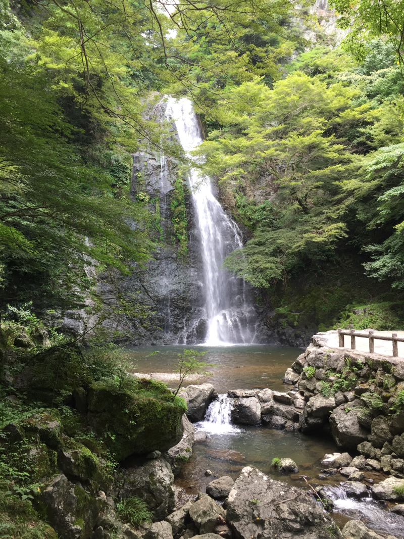 Mino-O waterfall framed by leaves, with boulders and a stream in the foreground