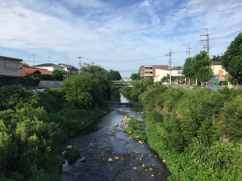 Suburban stream lined with greenery and houses under a blue afternoon sky