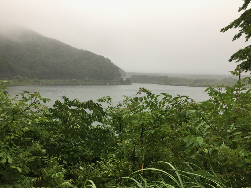 Lake view through greenery with misty mountains
