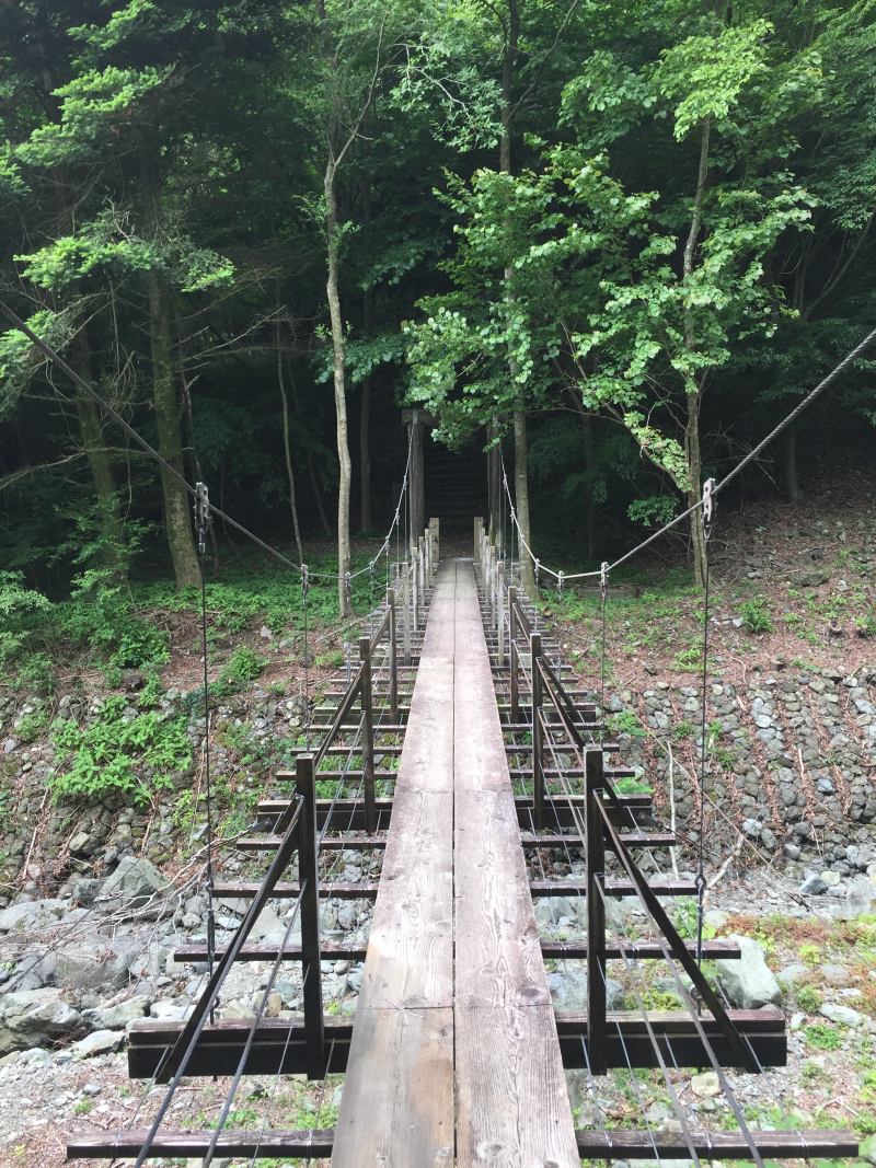 Narrow wooden suspension bridge leading into forest