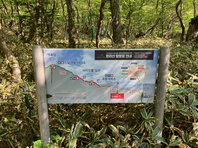 Trail information map sign in forest clearing
