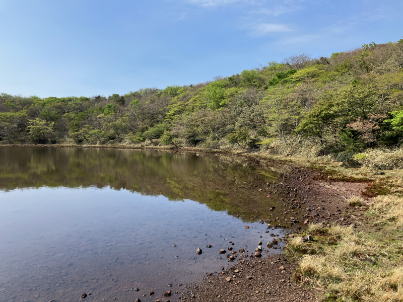 Rocky shoreline of small lake surrounded by forest