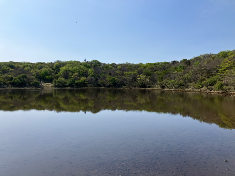 Still mountain lake reflecting green trees and blue sky