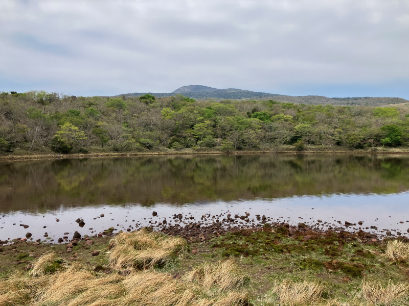 Lakeshore with rocks, dry grass, and distant mountain