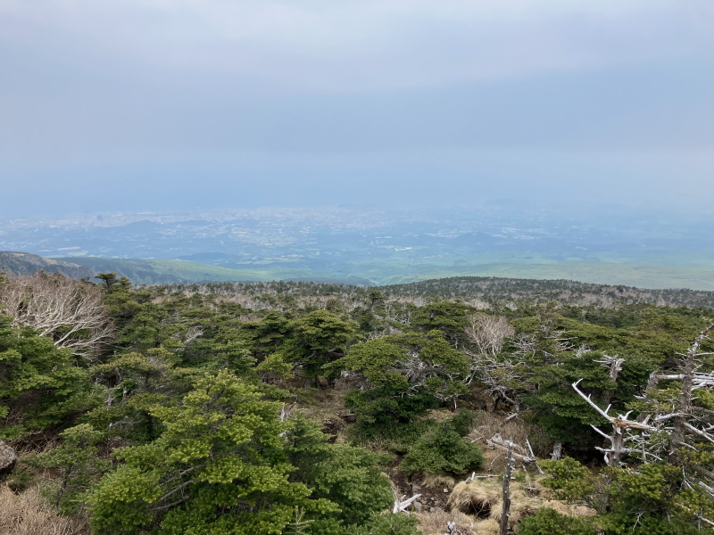 Forested slope with town visible in distant haze