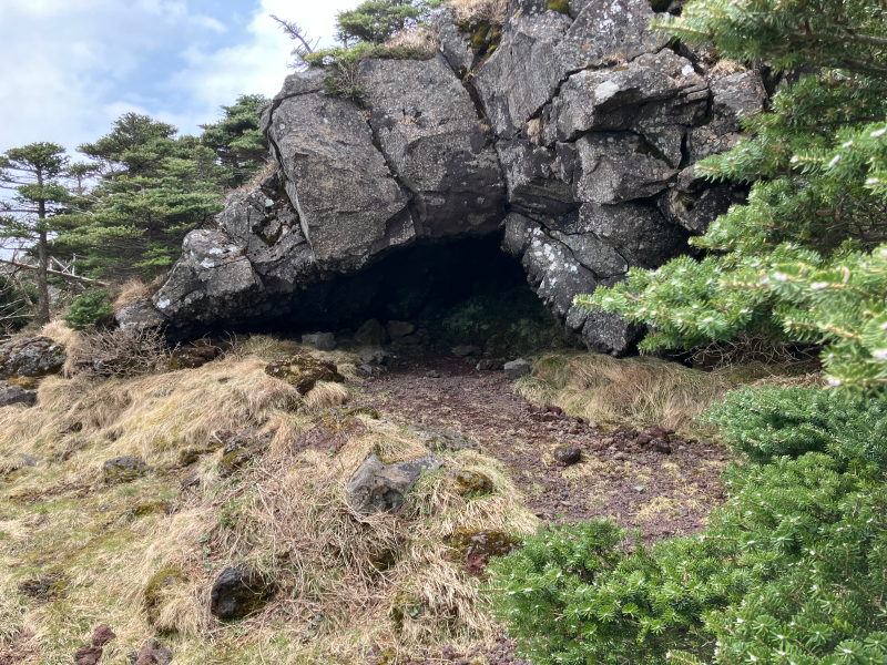 Large boulder cave beside conifers in forest