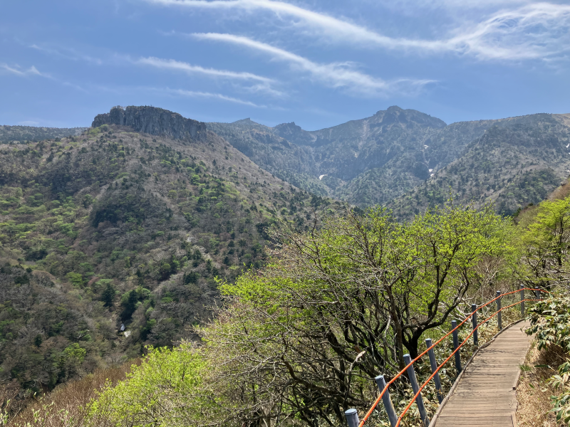 Wooden trail staircase descending along forested valley