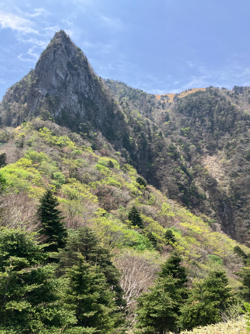 Sharp rocky pinnacle rising above green forested slopes
