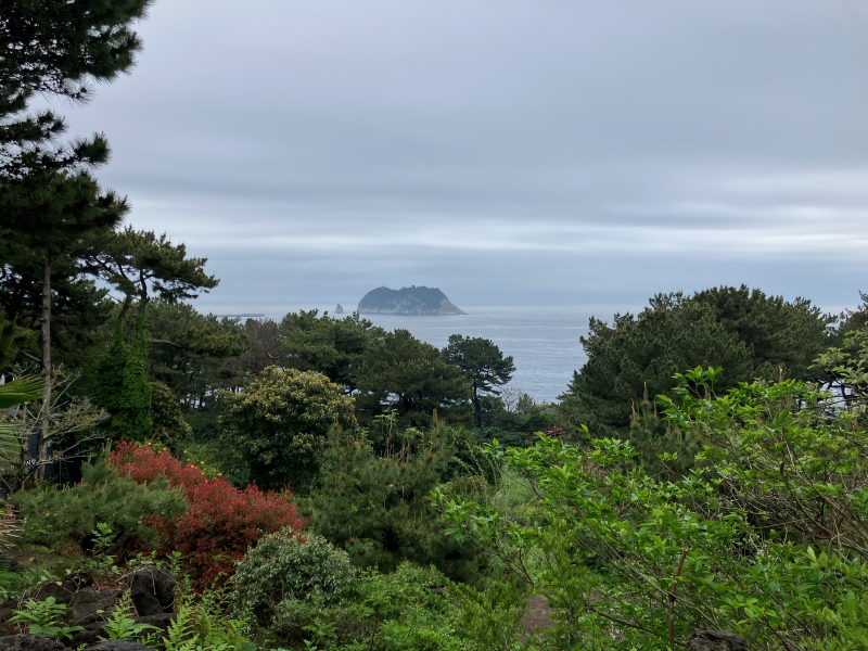 Rocky island on grey sea viewed over flowering shrubs