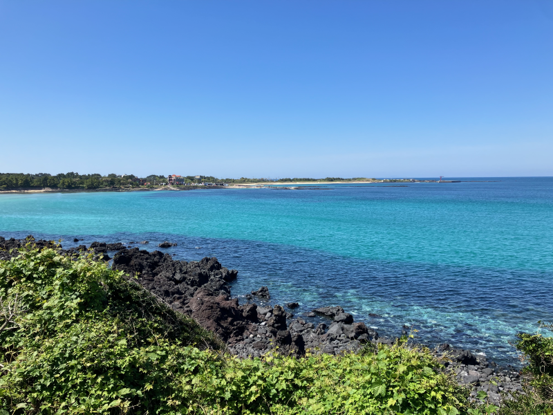 Coastal view from cliff with turquoise bay and village