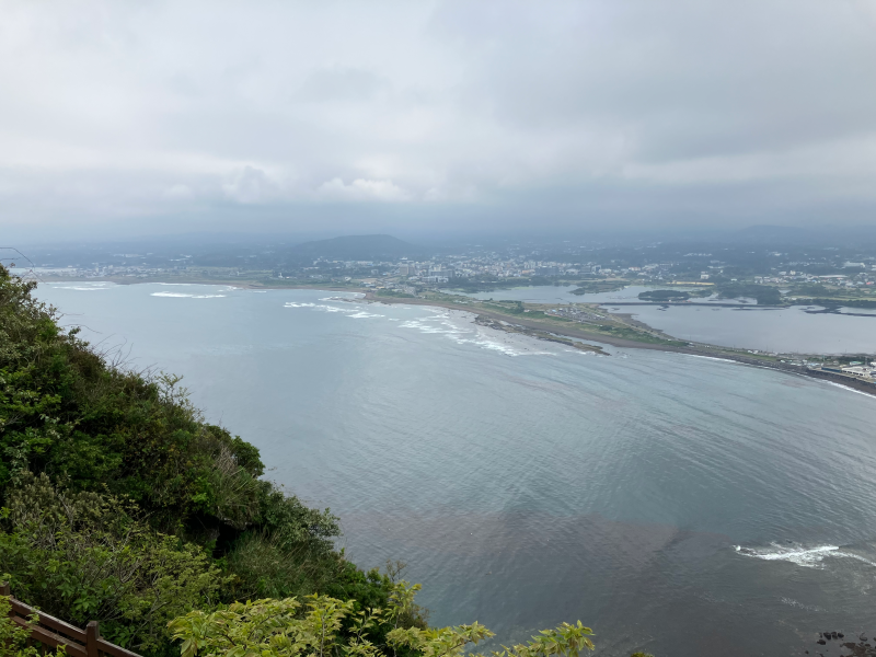 Curving coastline and distant city across gray sea under heavy clouds