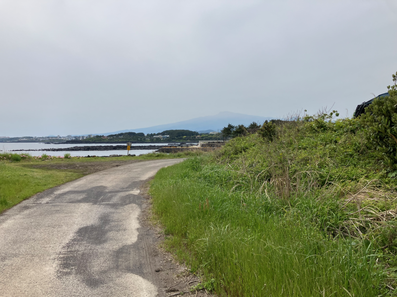 Paved path along coast with distant mountain under grey sky