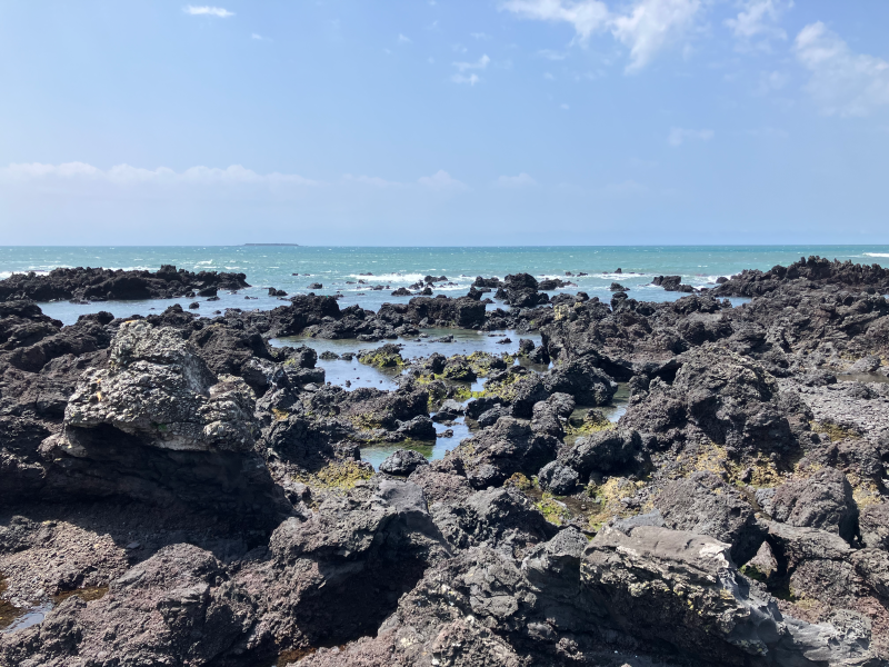 Jagged black volcanic rocks with tide pools and distant island