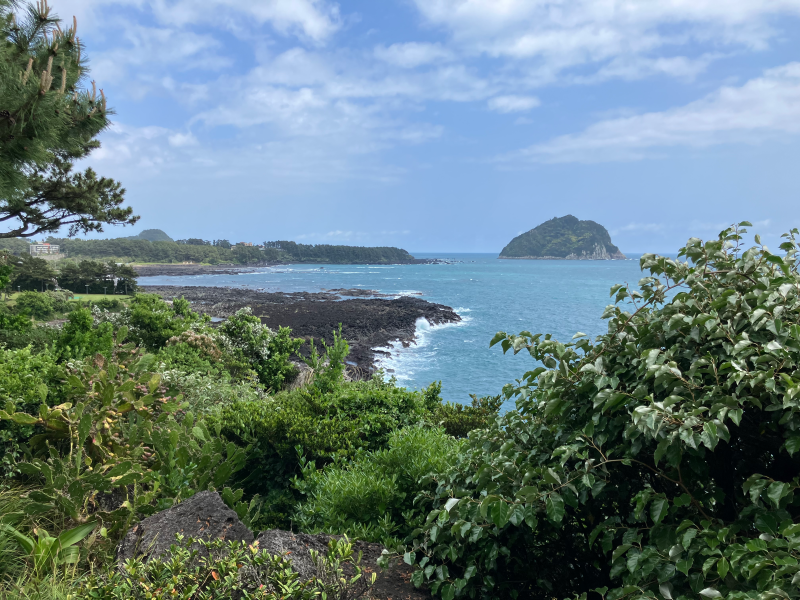 Coastal view framed by foliage with small green island