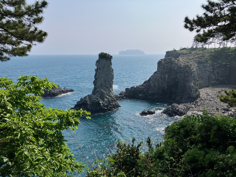 Sea stack and coastal cliffs framed by pine branches