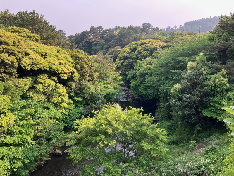 Lush green valley with small stream and bridge at dusk