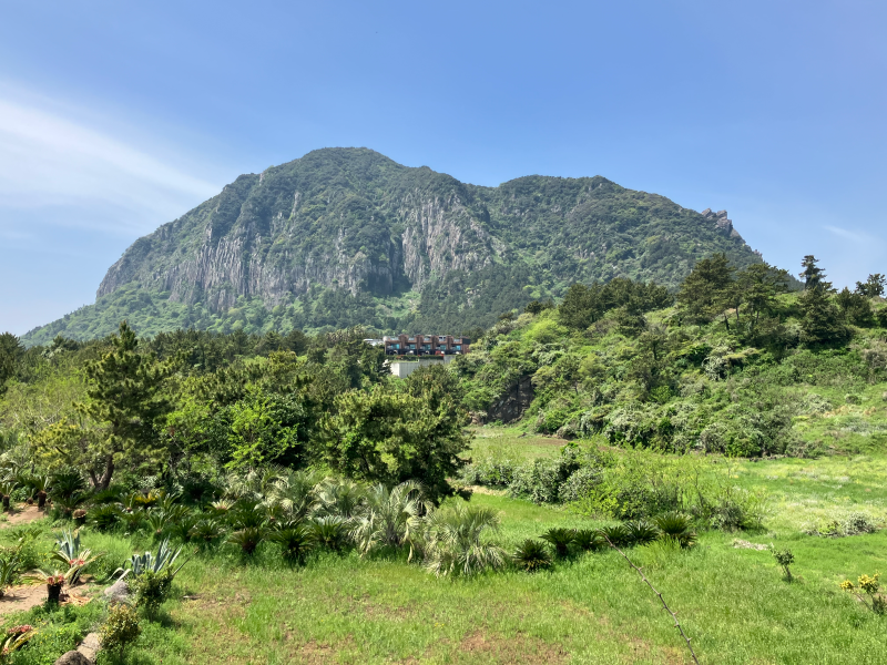 Sanbangsan rocky peak viewed across green meadow