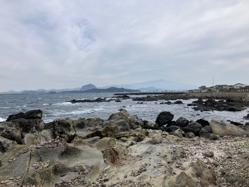 Rocky coastline with distant hills under overcast grey sky