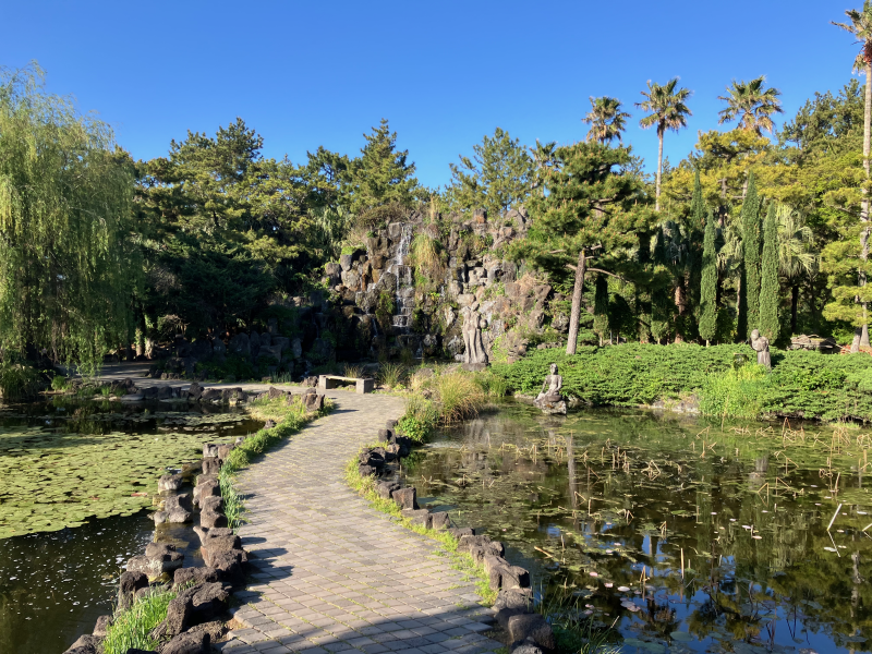 Landscaped pond with willows, palms and small stone bridges
