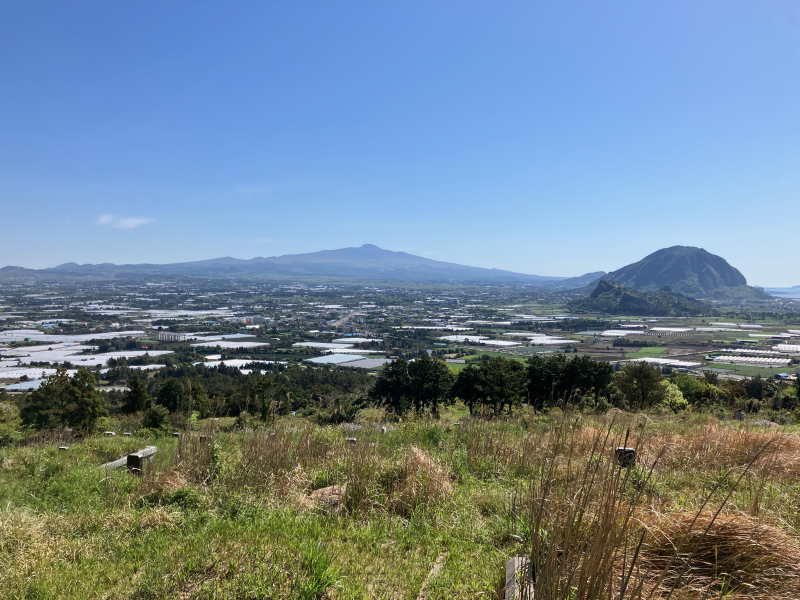 Hillside view over farmland toward distant mountains and rocky peak