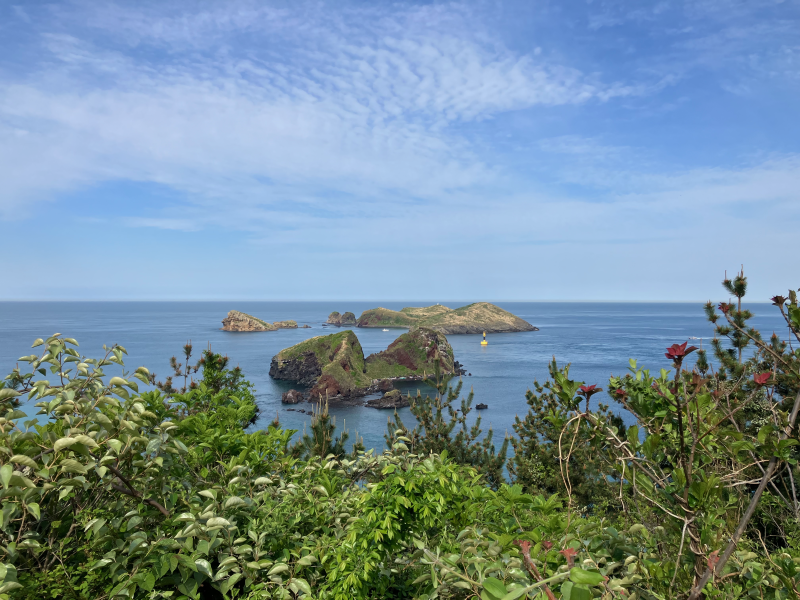 Ocean islets seen through red wildflowers and foliage